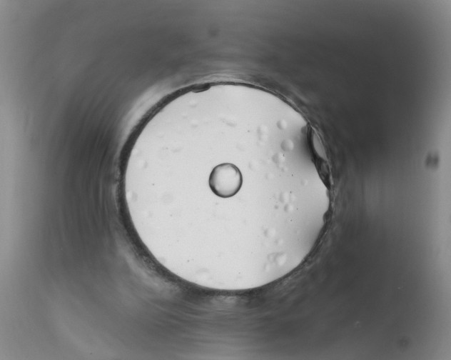 X0000111510152200908251121
