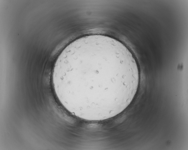 X0000111510153200908251121
