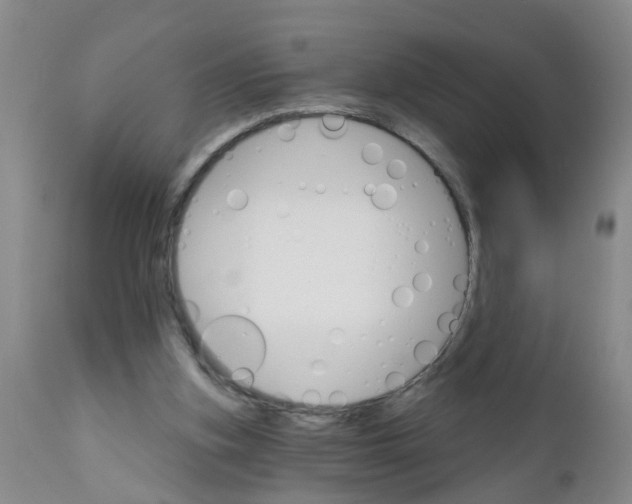 X0000111510155200908251121