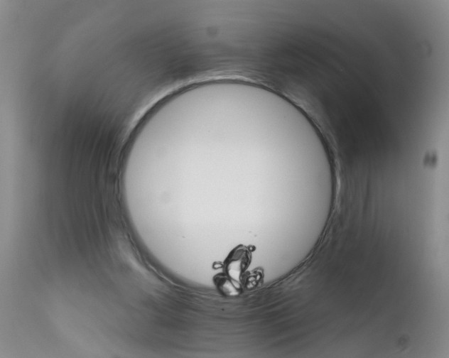 X0000111510156200908251121