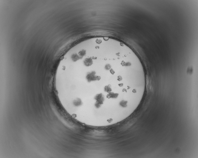 X0000111510157200908251121