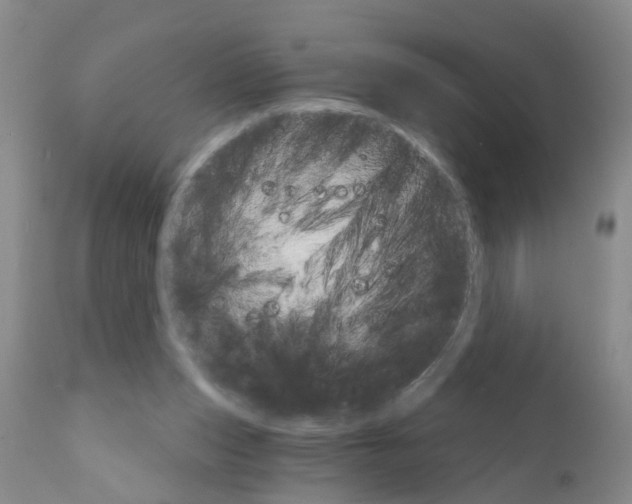 X0000111510159200908251121