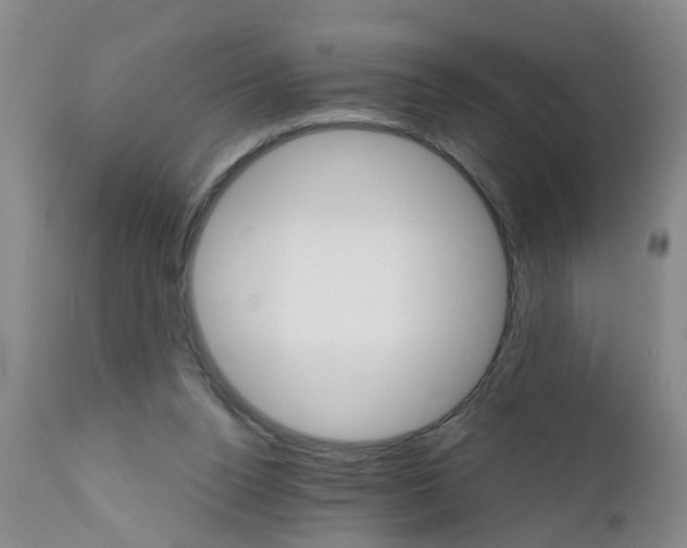 X0000111510160200908251121
