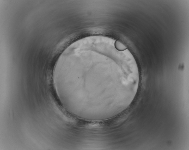 X0000111510161200908251121