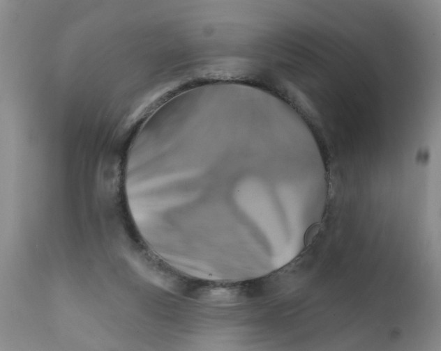 X0000111510163200908251121