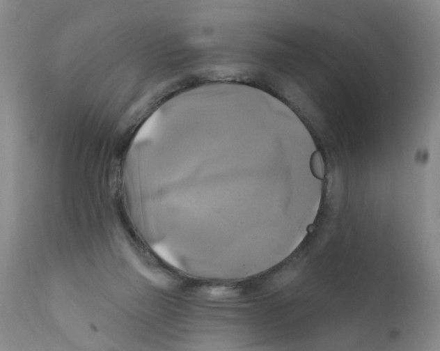 X0000111510165200908251121