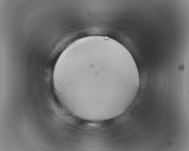 X0000111510167200908251121