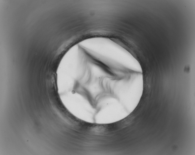 X0000111510168200908251121
