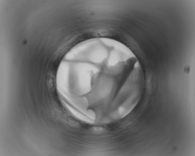 X0000111510169200908251121