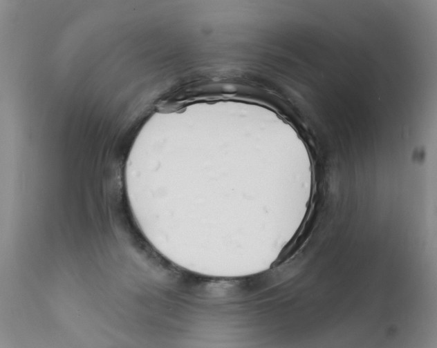 X0000111510172200908251121