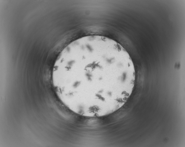 X0000111510173200908251121