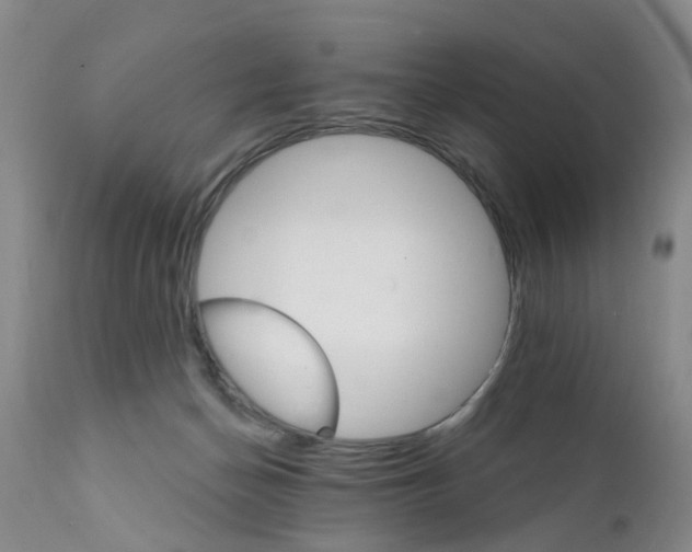 X0000111510174200908251121