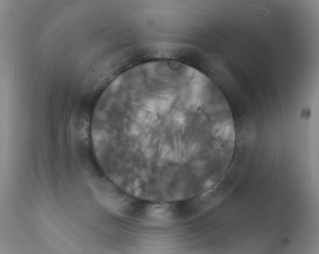 X0000111510175200908251121