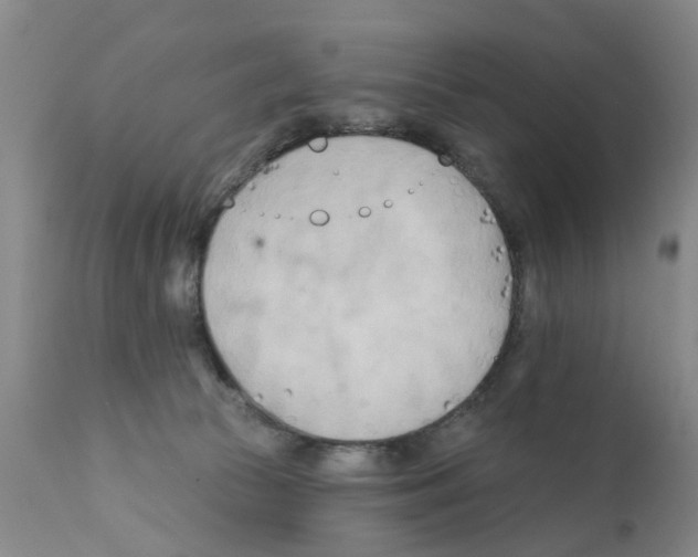 X0000111510177200908251121