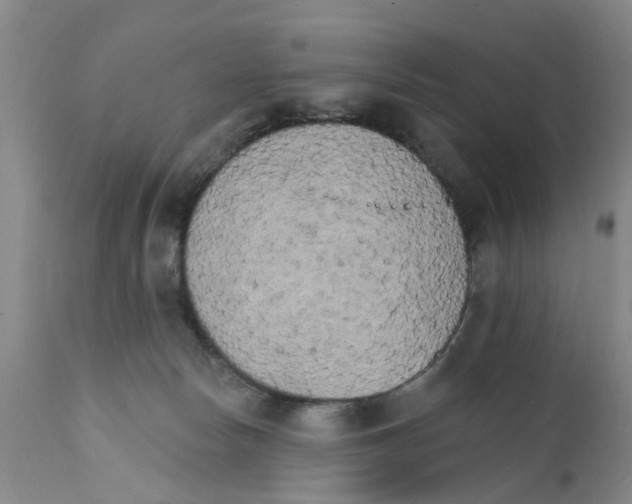 X0000111510178200908251121