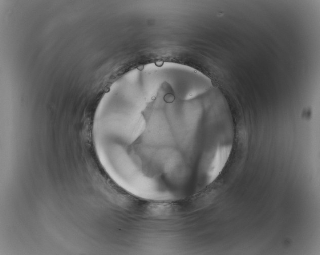 X0000111510181200908251122