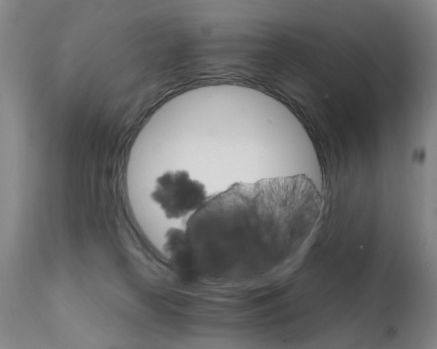 X0000111510182200908251122