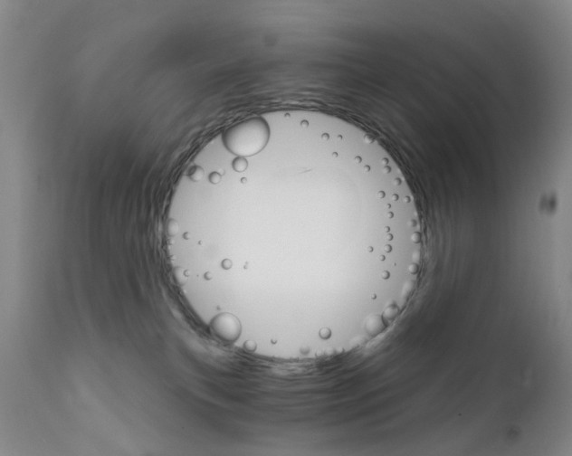 X0000111510183200908251122