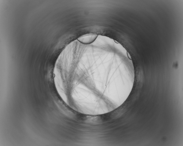 X0000111510185200908251122