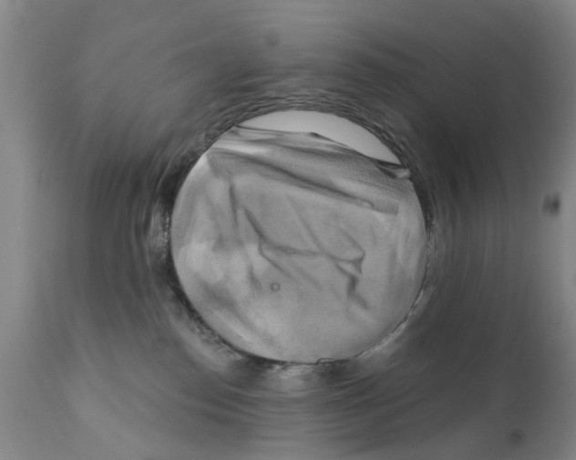 X0000111510186200908251122