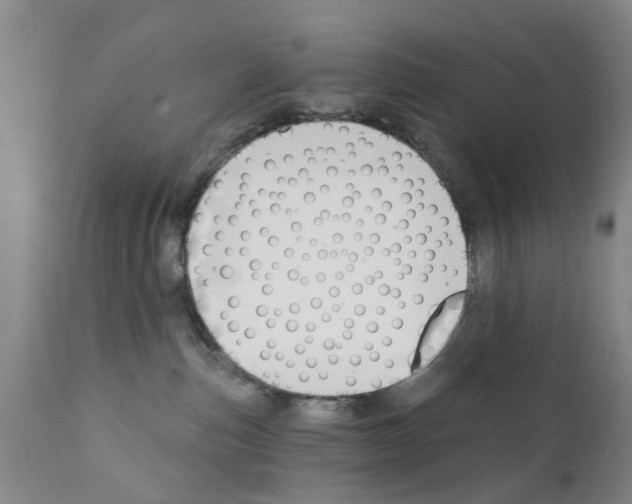 X0000111510187200908251122