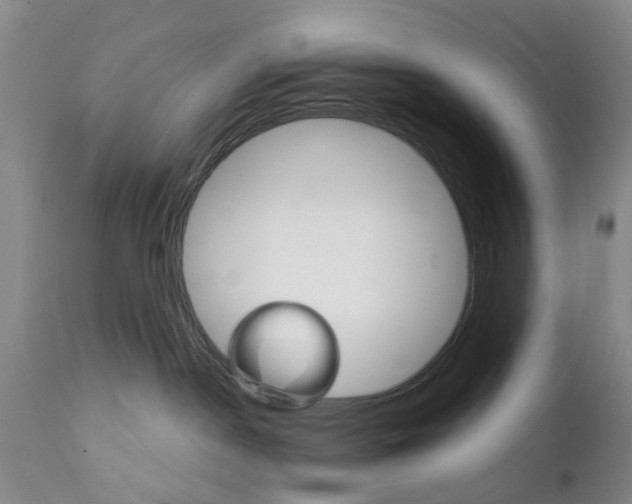X0000111510190200908251122