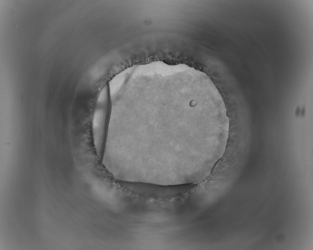 X0000111510192200908251122