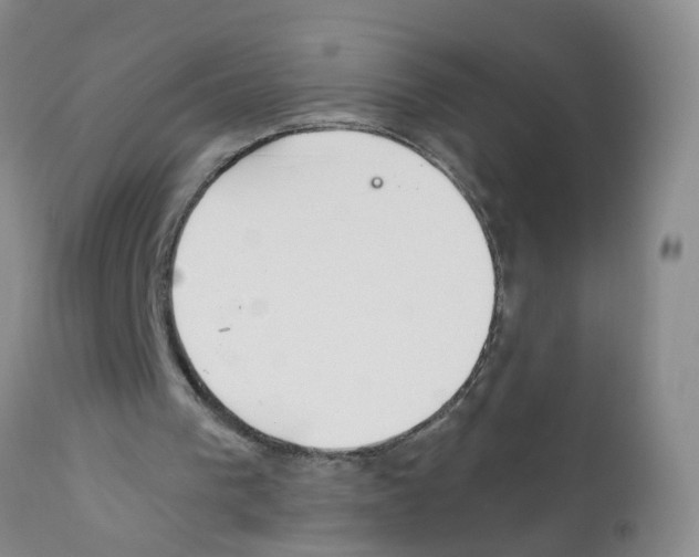 X0000111510193200908251121