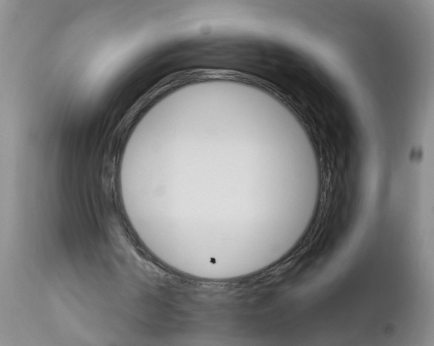 X0000111510194200908251121