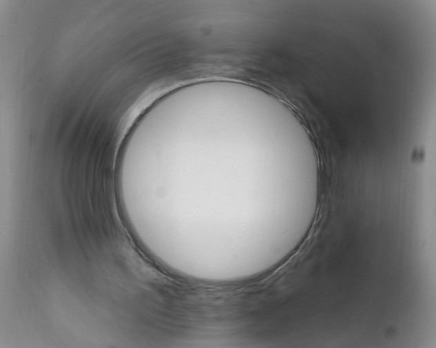 X0000111510195200908251121