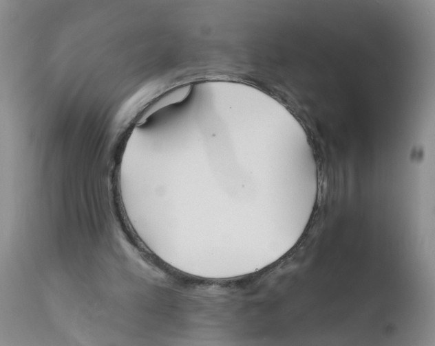 X0000111510197200908251121