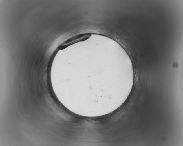 X0000111510199200908251121