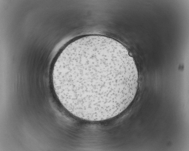 X0000111510200200908251121