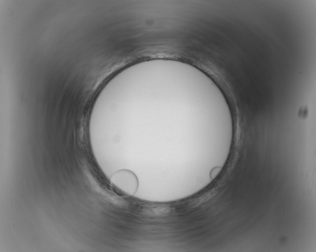 X0000111510202200908251121