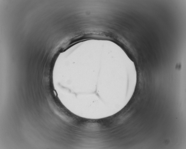 X0000111510203200908251121