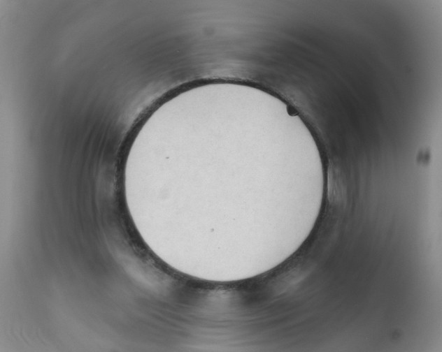 X0000111510204200908251121