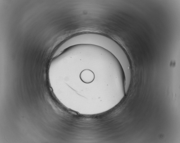 X0000111510205200908251121