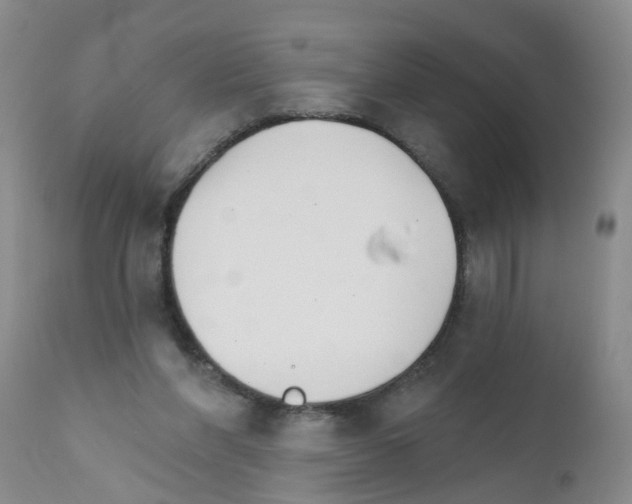 X0000111510206200908251121