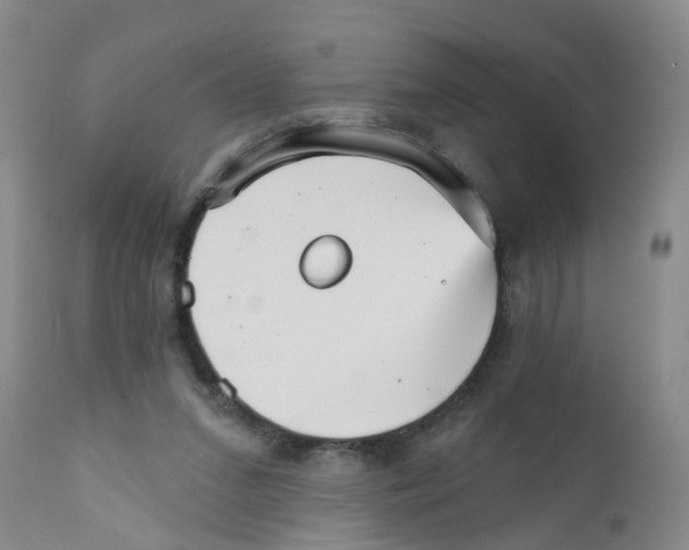 X0000111510207200908251121