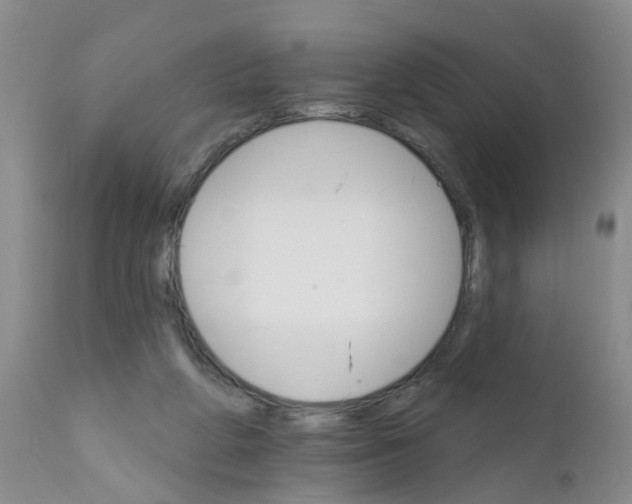 X0000111510210200908251121