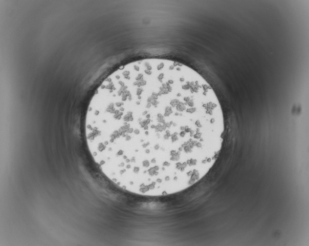 X0000111510212200908251121
