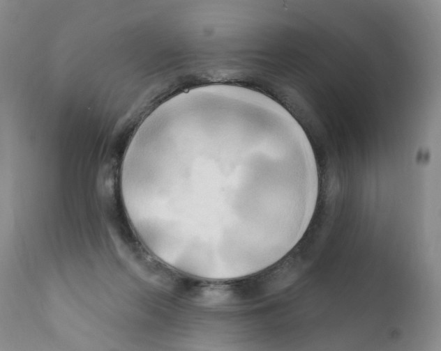 X0000111510214200908251121