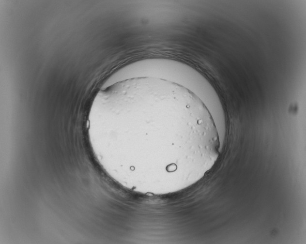 X0000111510217200908251121