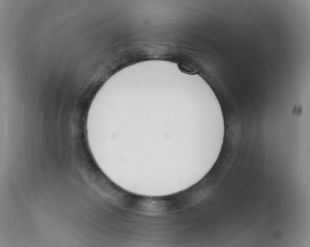 X0000111510221200908251121