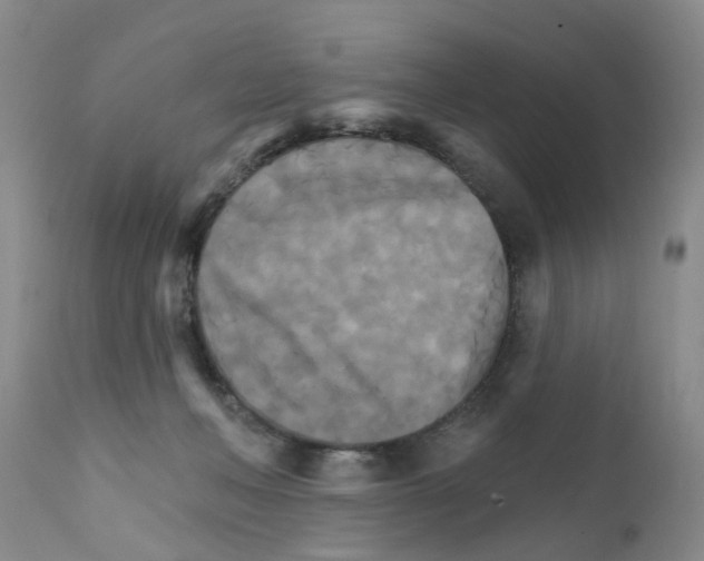 X0000111510222200908251121