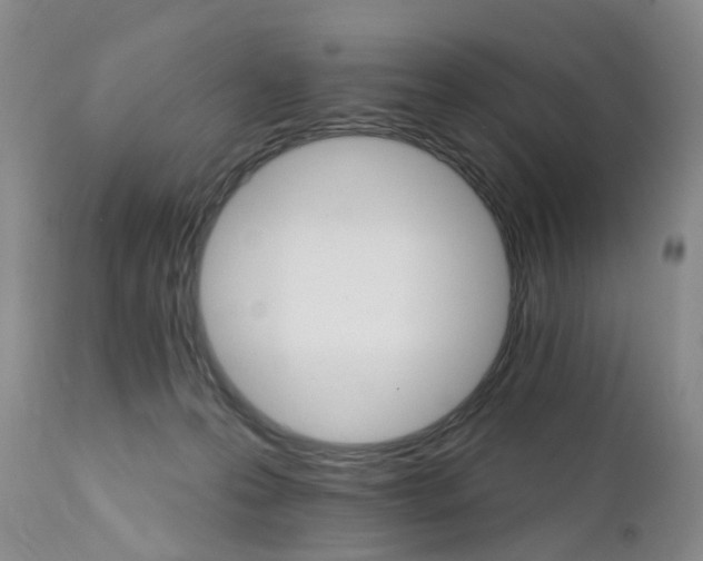 X0000111510223200908251121