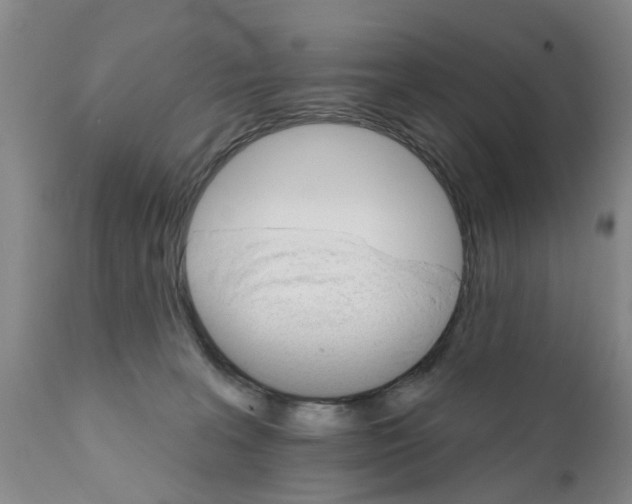 X0000111510227200908251121