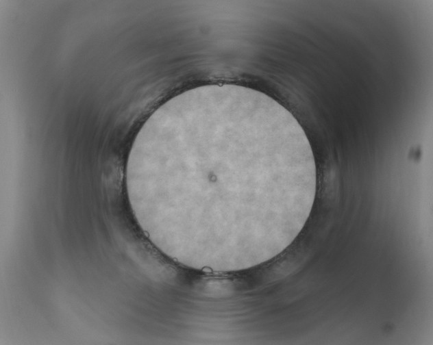 X0000111510228200908251121