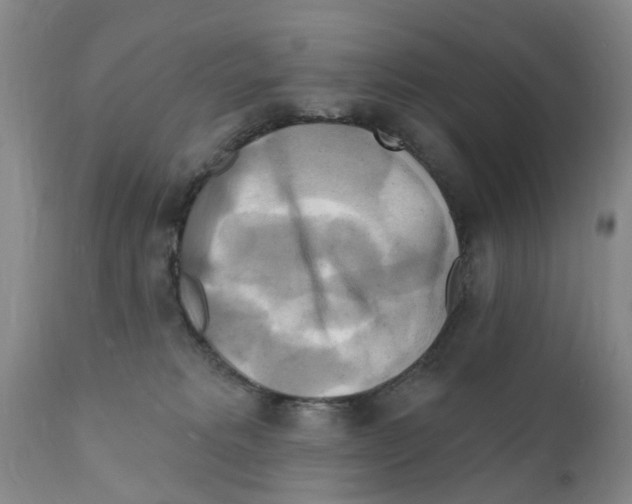 X0000111510229200908251120