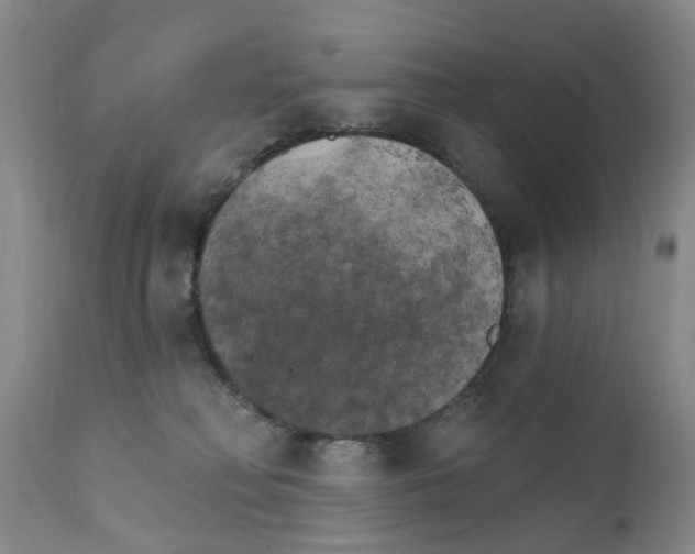 X0000111510230200908251120